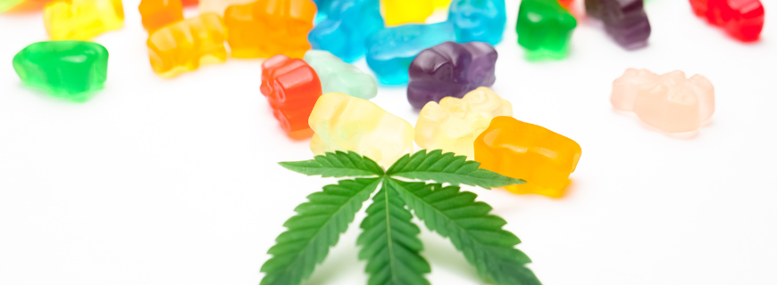 edible cannabis products