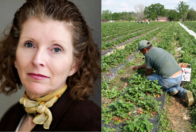 Susan Elliott and farmer working in field