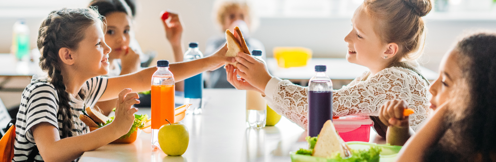 Food in Schools