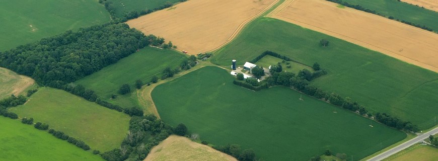 Ontario rural fields