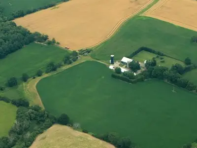 Ontario rural fields